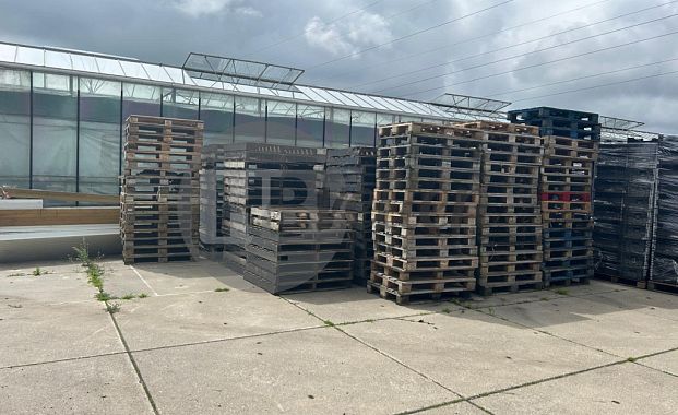 Pallets (120x120 cm)